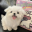 旧版Fuwari博客